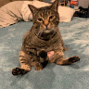 Meet your Posher, Addy